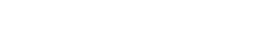 Website Design and Development